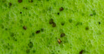 Kiwi and Cucumber Juices