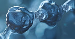 Plant Peptides