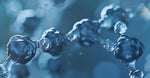 Biomimetic Plant Peptides 