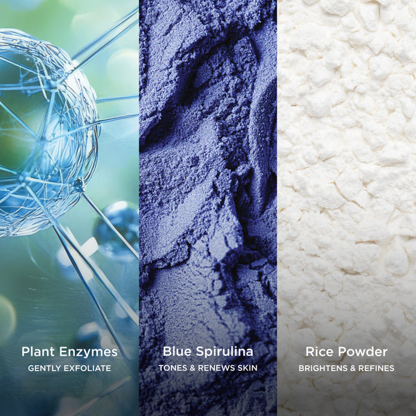 Three different textures labeled 'Plant Enzymes', 'Blue Spirulina', and 'Rice Powder' with descriptive text below each.
