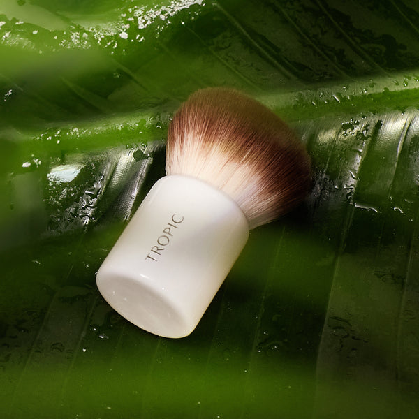 Tropic kabuki brush with soft brown-and-white bristles resting on a glossy green leaf with water droplets.