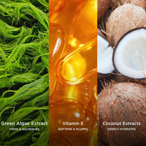 Green Algae Extract firms and nourishes, Vitamin E softens and plumps, and Coconut Extracts deeply hydrate in a vibrant sun care ingredient collage.