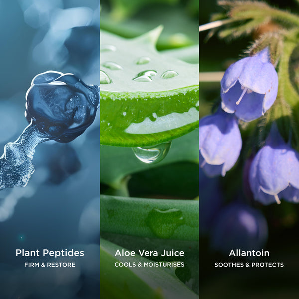 Ingredient collage featuring Plant Peptides, Aloe Vera Juice and Allantoin, highlighting ingredients that help firm and restore skin, cool and moisturise, and soothe and protect.