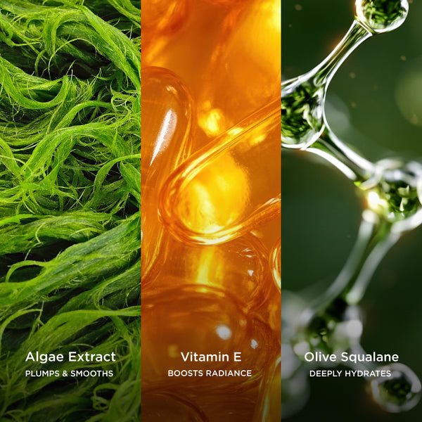 Three-panel ingredient image featuring green algae extract, golden vitamin E capsules, and olive squalane molecules, showcasing ingredients that hydrate, smooth, and boost radiance.