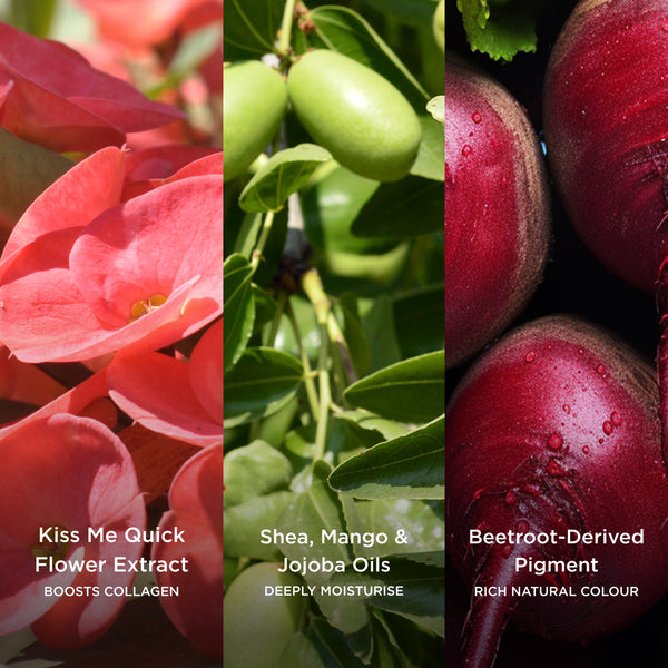 Three-panel ingredient image featuring Kiss Me Quick flower extract, shea, mango and jojoba oils on leafy branches, and beetroot-derived pigment, showcasing botanical ingredients that help moisturise, support collagen, and provide natural colour.