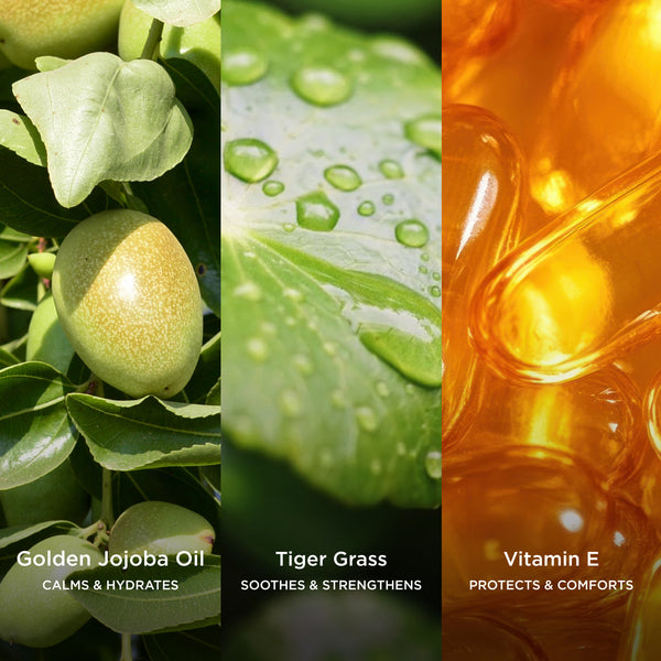Ingredient collage featuring Golden Jojoba Oil, Tiger Grass and Vitamin E, highlighting ingredients that calm, hydrate, strengthen and help protect delicate skin.