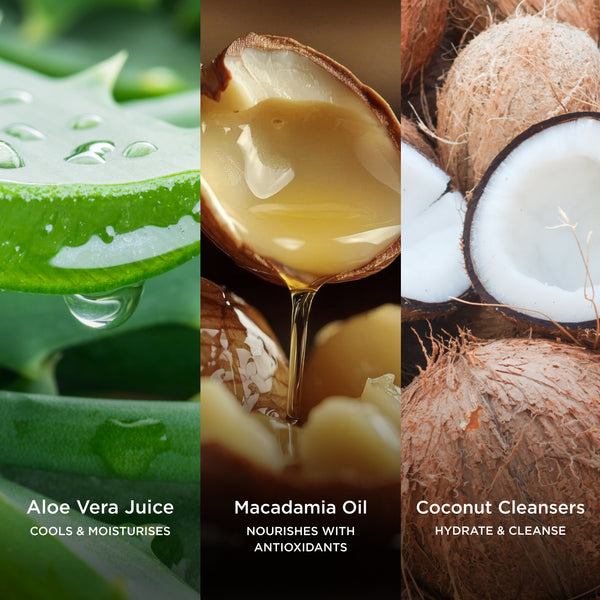 Three-panel ingredient image showing fresh aloe vera gel, golden macadamia oil dripping from a nut shell, and coconuts, representing moisturising, nourishing, and cleansing ingredients.
