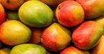 Mango Wax