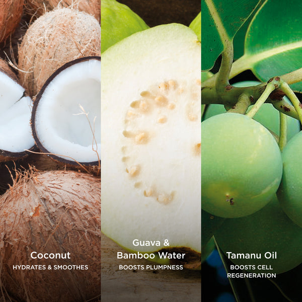 Coconut hydrates and smoothes, Guava and Bamboo Water boost plumpness, and Tamanu Oil supports cell regeneration.