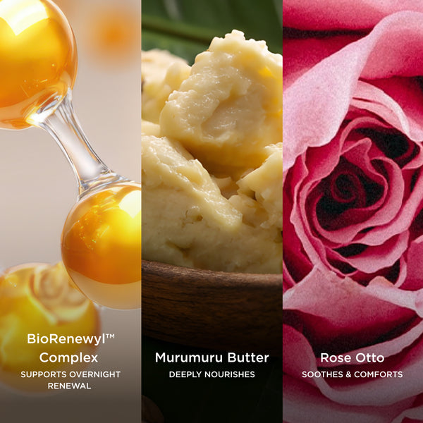 Three key ingredients in Skin Dream Advanced: BioRenewyl™ Complex to support overnight renewal, Murumuru Butter to deeply nourish, and Rose Otto to soothe and comfort.