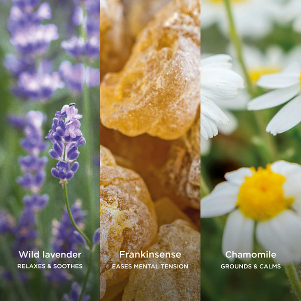 Three-panel ingredient graphic showing Wild Lavender, Frankincense, and Chamomile with macro visuals.