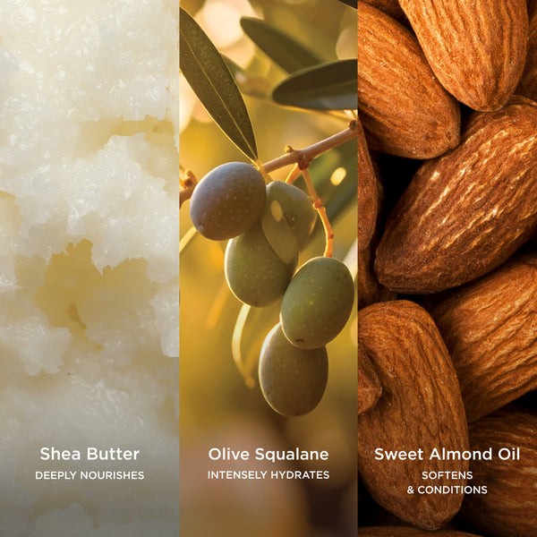 Three-panel ingredient graphic showing Shea Butter, Olive Squalane, and Sweet Almond Oil with macro visuals.