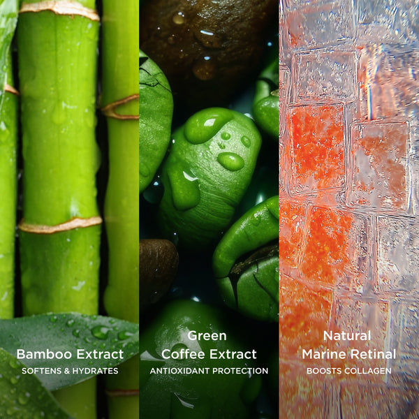 Three-panel ingredient graphic showing Bamboo Extract, Green Coffee Extract, and Natural Marine Retinal with macro visuals.
