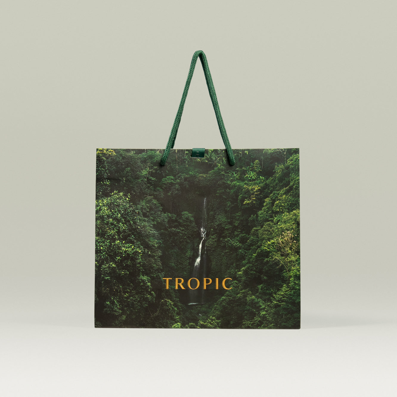 Large Luxury Gift Bag, view 6